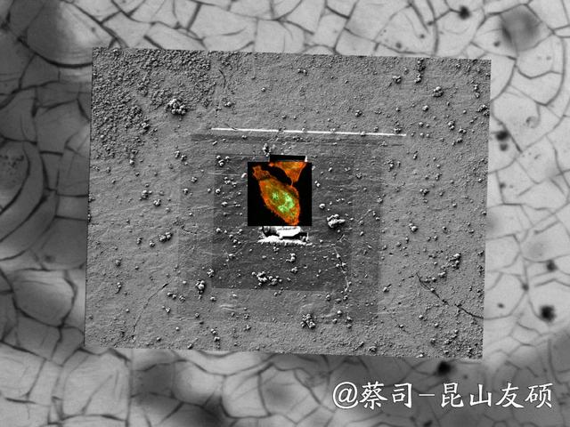 梅州梅州蔡司梅州扫描电镜 梅州梅州蔡司梅州扫描电镜