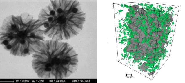 梅州梅州蔡司梅州扫描电镜 梅州梅州蔡司梅州扫描电镜
